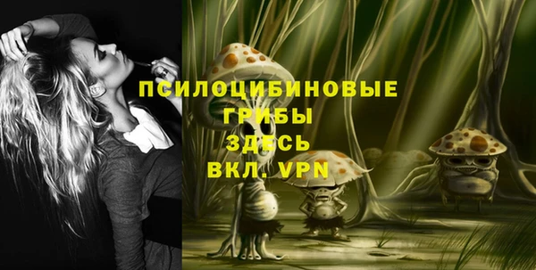 а пвп мука Инта