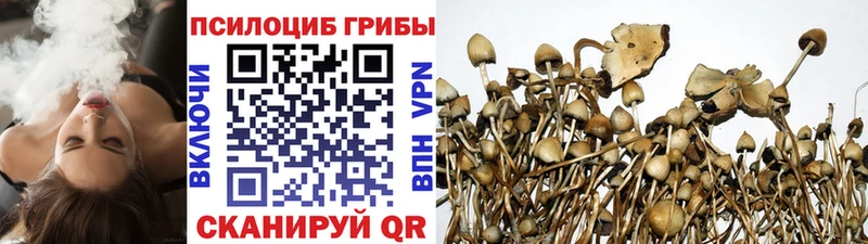 Псилоцибиновые грибы MAGIC MUSHROOMS  Купить  Боготол 