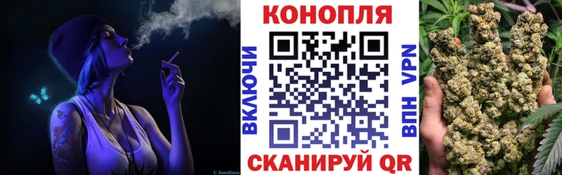 Купить  Боготол  Конопля тримм 